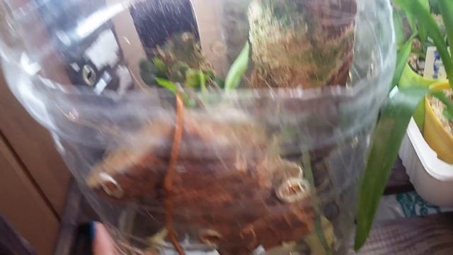 Новые эксперименты, новая полочка и еще много всего. смотреть онлайн