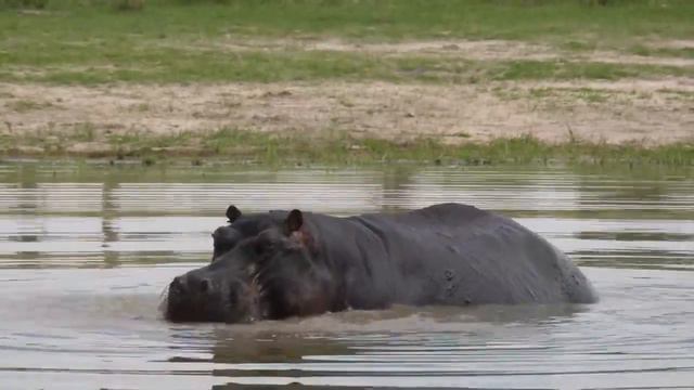 When Early Humans Met Monsters - Terrifying Nightmares смотреть онлайн