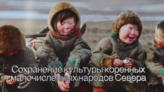 Будущее Арктики: М.В. Слипенчук об экономике и экологии Арктики