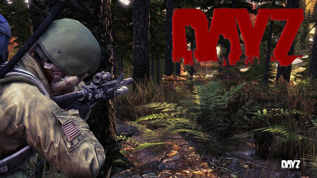 DAYZ ВЫЖИВАНИЕ С НУЛЯ С ДРУГОМ #2 / НОВИЧОК В DAYZ 2022 / прохождение DAYZ обзор смотреть онлайн