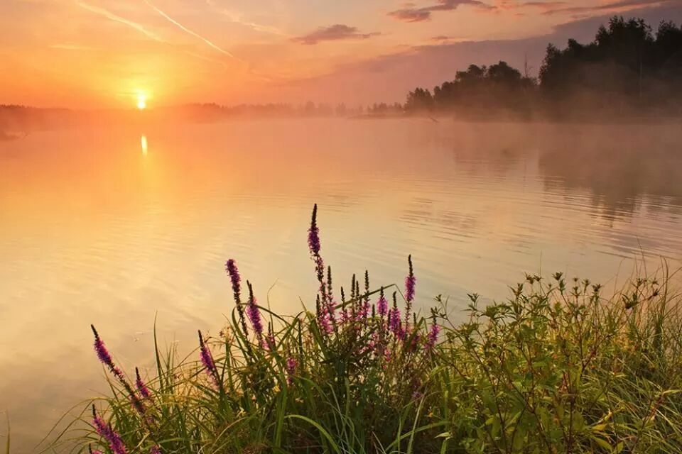 Выткался на озере, алый свет зари (В. Трошин) разбор на гармони №-154 с цифрами смотреть онлайн