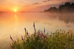 Выткался на озере, алый свет зари (В. Трошин) разбор на гармони №-154 с цифрами