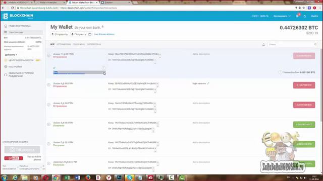 Hiden PLEX новый кошелек НА КОТОРОМ можно еще и хорошо заработать 6 доллара в день смотреть онлайн