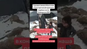 Снегопад в Афганистане, суровая зима в Монголии...