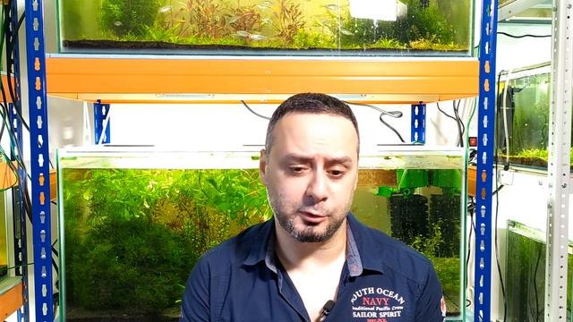 Осень 2023. Обо всем понемногу смотреть онлайн