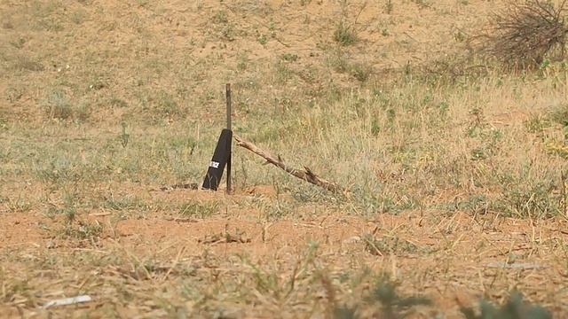 Тест Китайських плит 2022 смотреть онлайн