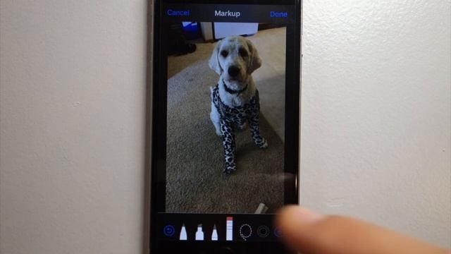 Using eraser and undo for drawing in iPhone Markup смотреть онлайн