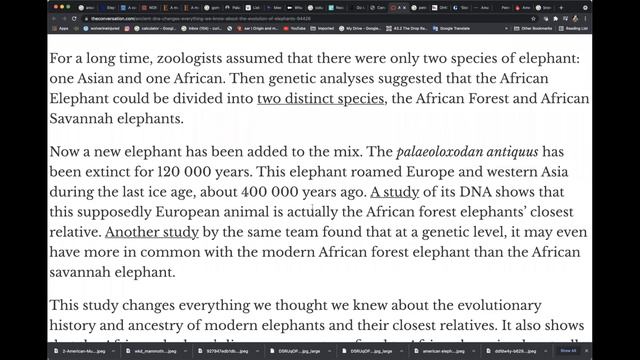 Ancestors of Elephants All over America / Origin of Proboscideans / Mound Effigy / Petroglyphs смотреть онлайн