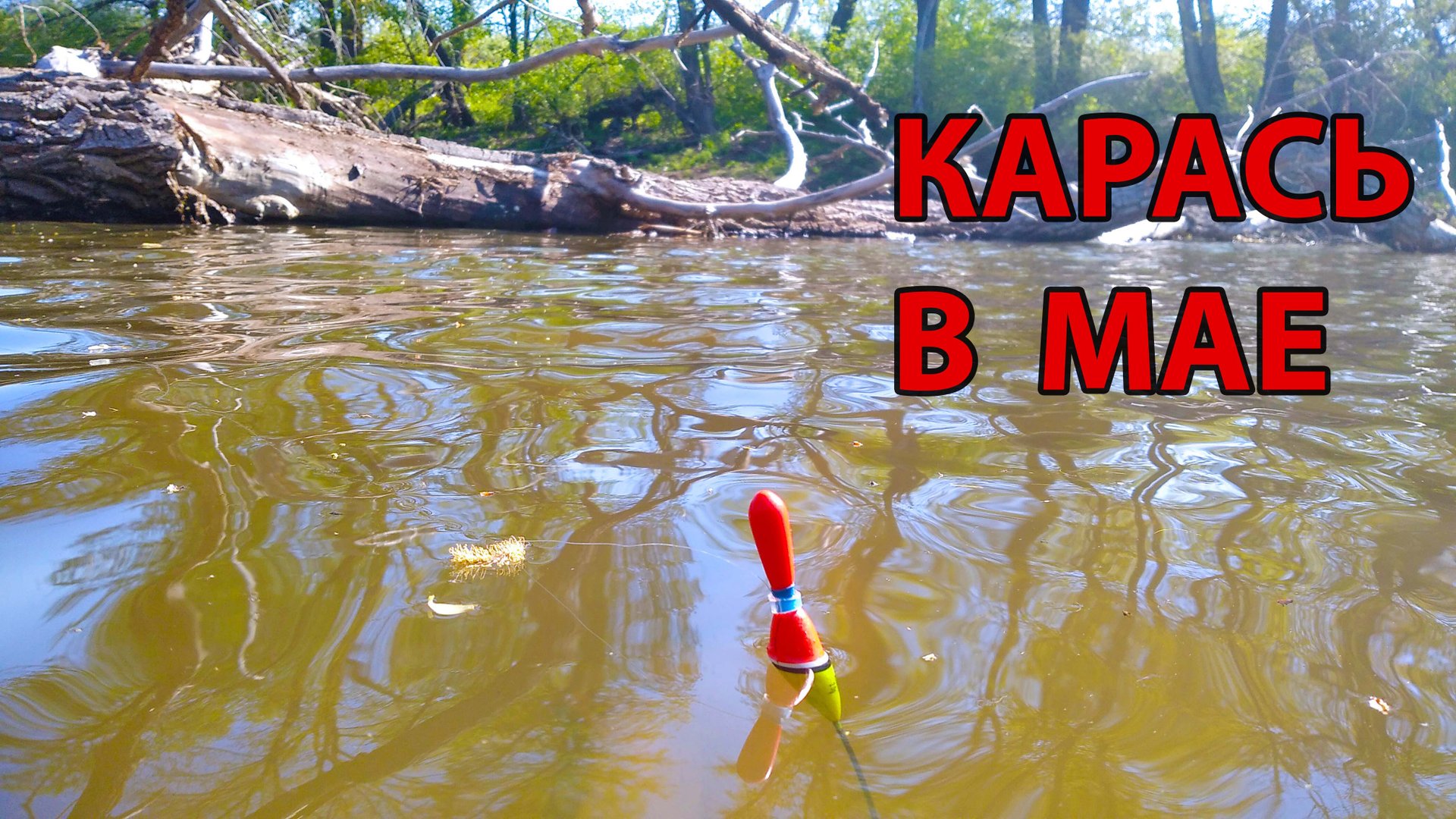 Ловля карася в Мае.Рыбалка на поплавок. смотреть онлайн