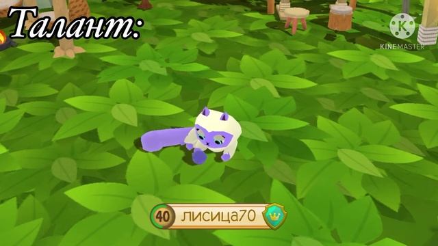 Обзор на Гималайскую Кошку в Animal Jam смотреть онлайн