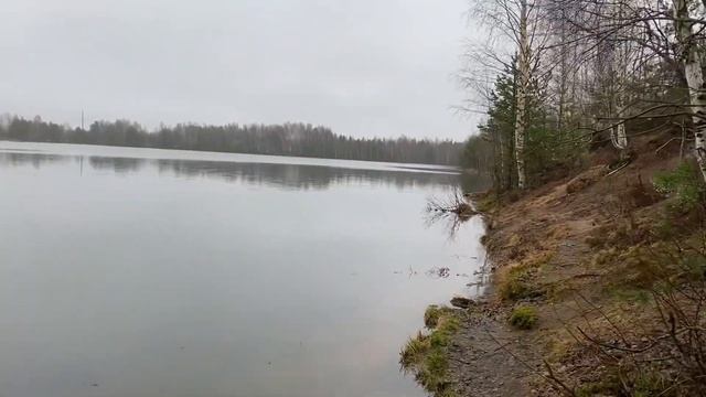 Купили пол ГАЗели для участка. Съездили, блин за дровами смотреть онлайн