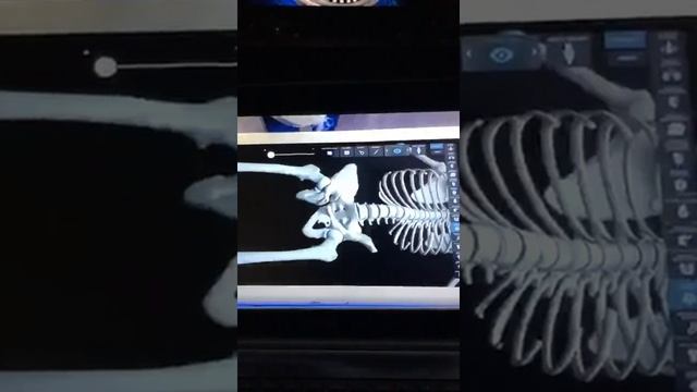 Мастер-класс 