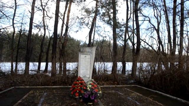 Братская могила д Полевая Речица смотреть онлайн
