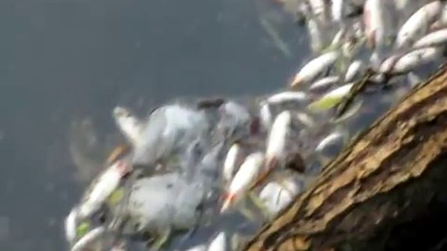 Устя лихо смотреть онлайн