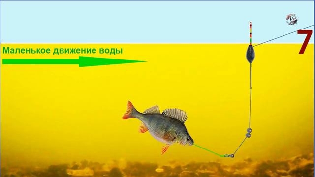 ПОКЛЕВКИ на поплавок. Ловля в проводку, огрузка снасти, подпасок, выставление глубины. рыбалка fish смотреть онлайн
