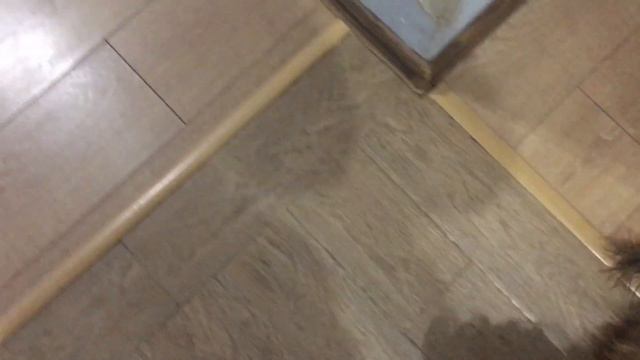 Хьюхундра йорк