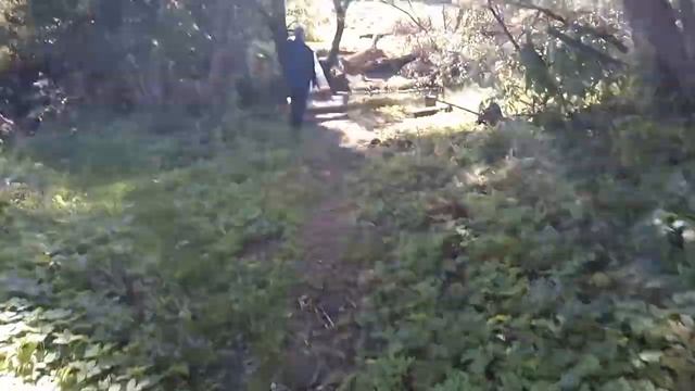 ...Новая кладка(мосток) через Адров В районе деревни Ломачино Оршанского района!!! смотреть онлайн