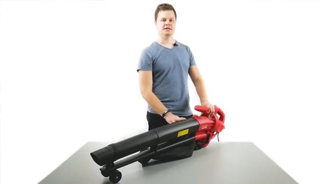 Воздуходувка Wortex BV 1325 (электрическая) смотреть онлайн