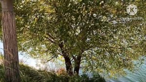 Саша Лучшая Я