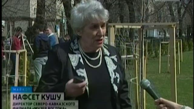 В Адыгее зацвела сакура смотреть онлайн