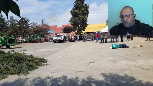 Expert Arborist Reacts to FATAL Tree Chipper Fails and Accidents смотреть онлайн