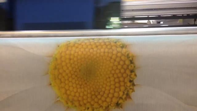 УФ печать на обоях. смотреть онлайн