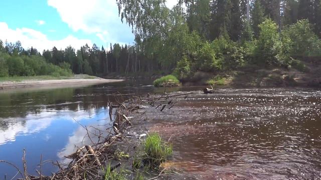 Рыбалка на таёжной речке По рыбе не очень, зато места красивые смотреть онлайн