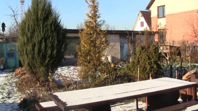 Влог.  Гороховый суп с ляпами. Лесной житель в городе.