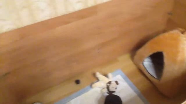 Вольер Тьмака комнатный, для щенков.. смотреть онлайн