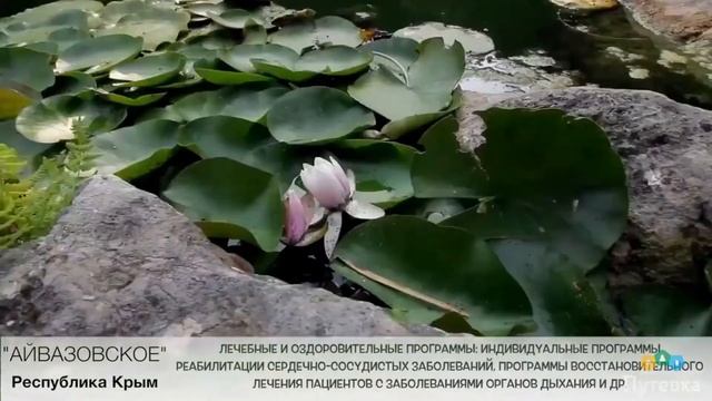 Санаторий Айвазовское (Крым, г. Алушта, п. Партенит) смотреть онлайн