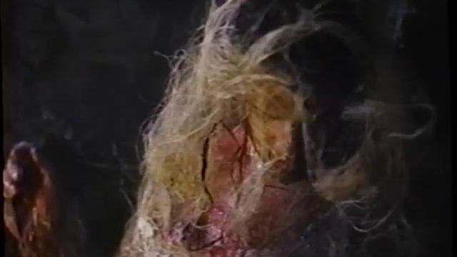 Wasp Woman 1995 Full Movie