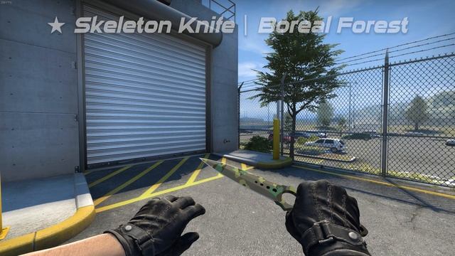 CSGO ★ Skeleton Knife - All Skins Showcase BS/WW/FT/MW/FN [4K60FPS]