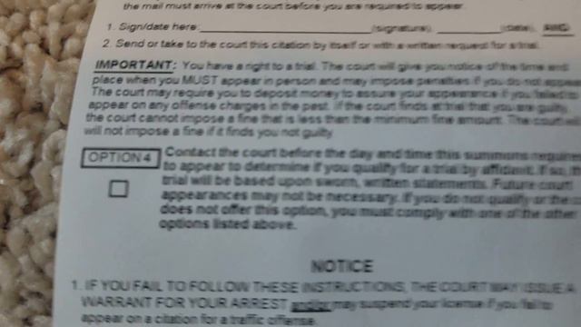 How to plead in a ticket. Which option to choose? смотреть онлайн