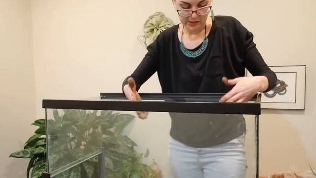 Lost in the Moss Episode 1: Arid Terrarium Build смотреть онлайн