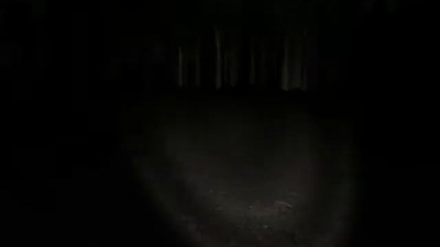 Собираем макулатуру