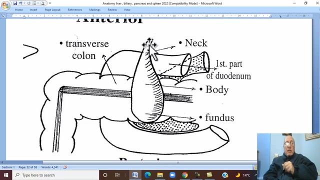 Anatomy GIT Module in Arabic 32 ( Extrahepatic BIlliary Passage ) , by Dr, Wahdan смотреть онлайн