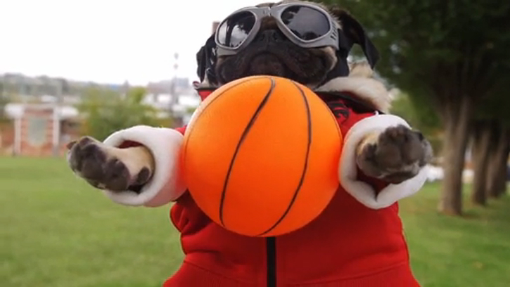 Премьера! Fall Out Boy - Irresistible (Starring Doug The Pug) ft. Demi Lovato 2015 смотреть онлайн