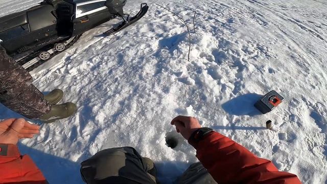 Удачно закрыл рыбалку на налима! Есть бонус!!! смотреть онлайн