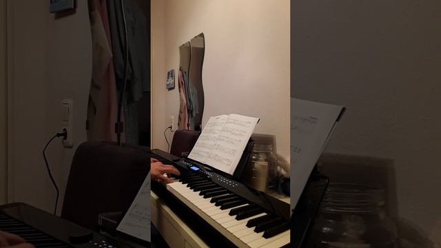 "Feelings" (Strings-Piano) Casio Privia PX-3100 / portables Digital Piano смотреть онлайн