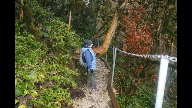 В глубь веков!