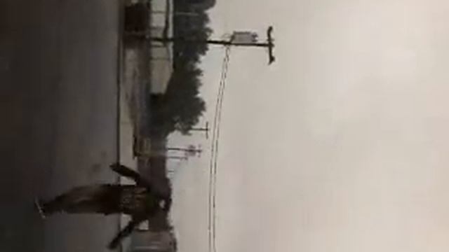 DTS MARVEL GANG (KIDD KRAZY) (SUPERMAN) (ROBBIE) смотреть онлайн