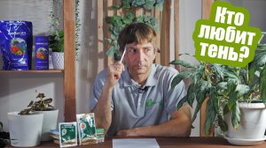 Лучшие растения для тени: от овощей до деревьев. Рассказываем что посадить в тени!