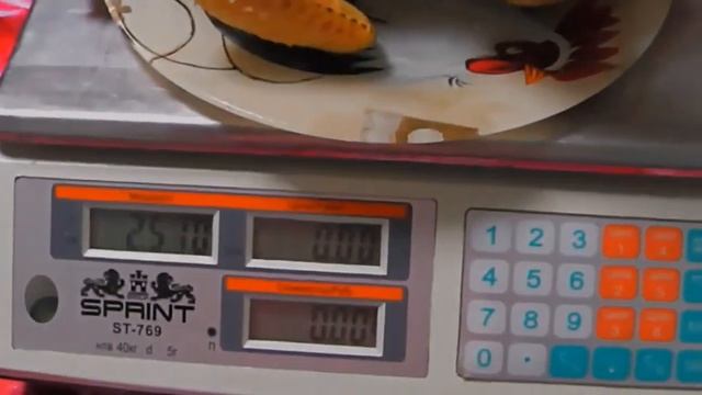 Шикарный вес потрошеной тушки ST5 в 45 дней! Невероятно вкусное мясо утки! смотреть онлайн