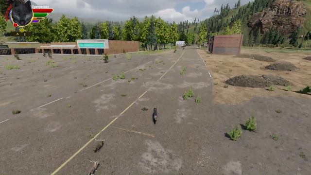 Невероятной длины переселение с волчатами на Лост Ривер! WolfQuest: Anniversary Edition # 112 смотреть онлайн