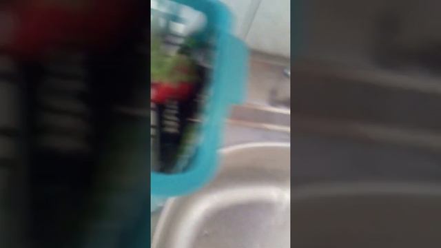 как сделать газировку дома за 2 минуты! смотреть онлайн