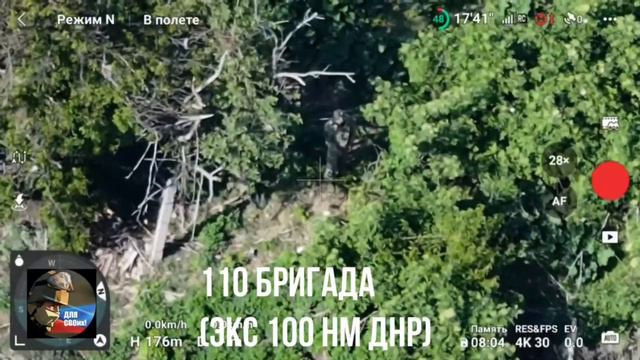 Всушник просто хотел задушить своего ужа смотреть онлайн