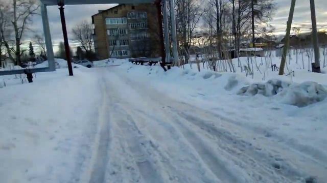 Борщевик растет рядом с дошкольными учреждениями в г. Емва республики КОМИ РФ!!! Евгений Шилов смотреть онлайн
