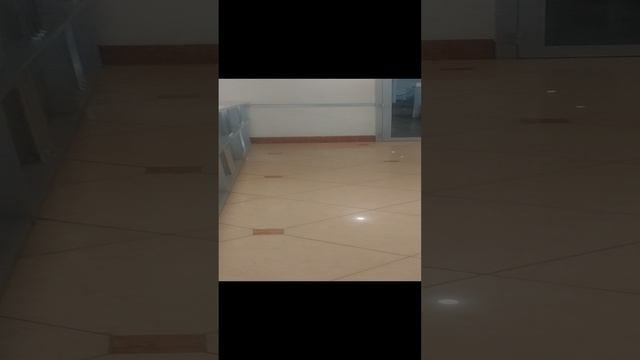 20230518_Бешбармак из казы Кублей получился смотреть онлайн