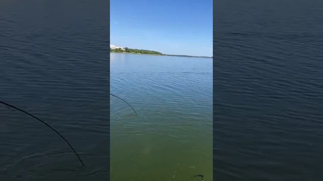 рыбалка на судака смотреть онлайн