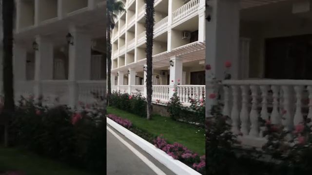 Оказывается павлины лазят по деревьям? смотреть онлайн